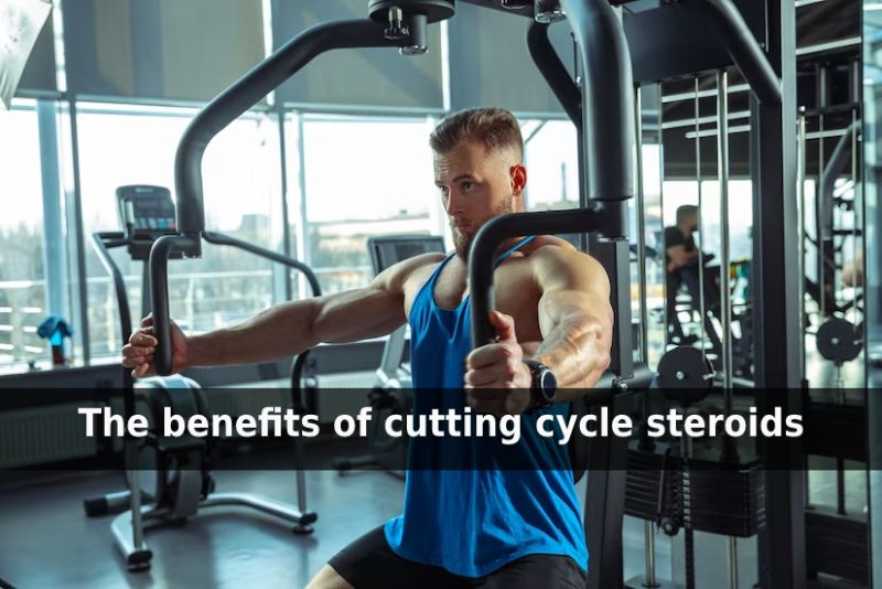 cutting cycle steroids